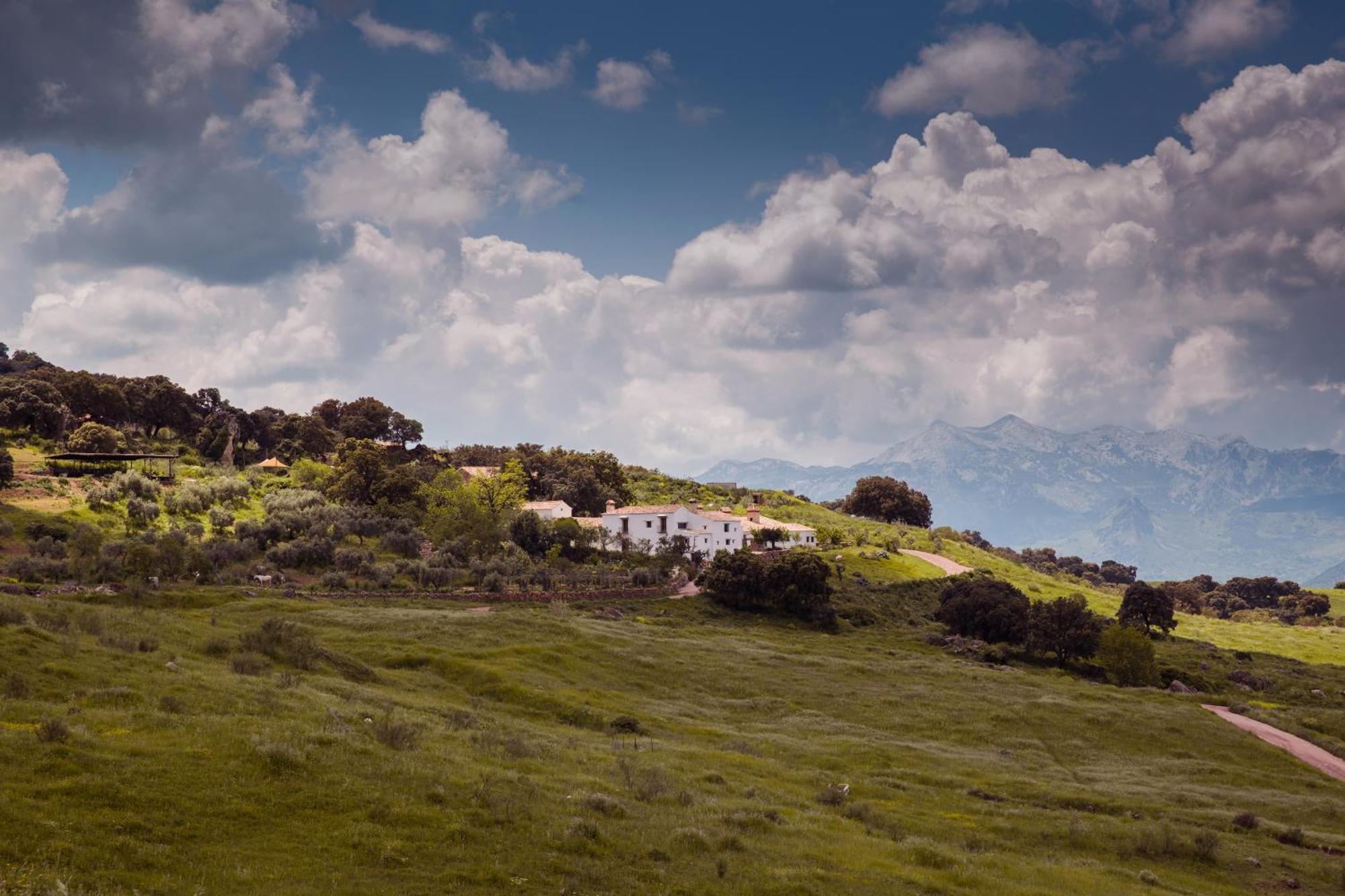 Maison d'hôtes La Donaira à Montecorto Extérieur photo